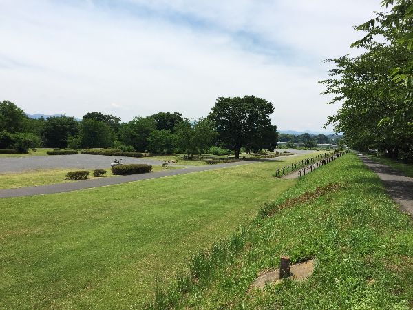 緑がキレイで走りやすいじゃないですか 多摩川中央公園を走ってみましたの巻 楽しく走る らく走 太郎