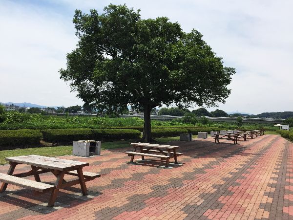 緑がキレイで走りやすいじゃないですか 多摩川中央公園を走ってみましたの巻 楽しく走る らく走 太郎